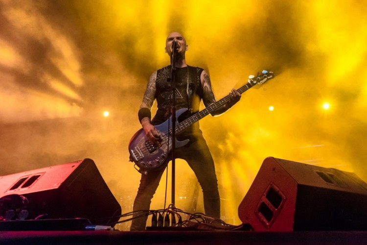 Fotografía profesional para grupos de música y bandas Fotografo de conciertos y musical en Palma de Mallorca - Luis Sergio Carrera, fotógrafo freelance Mallorca